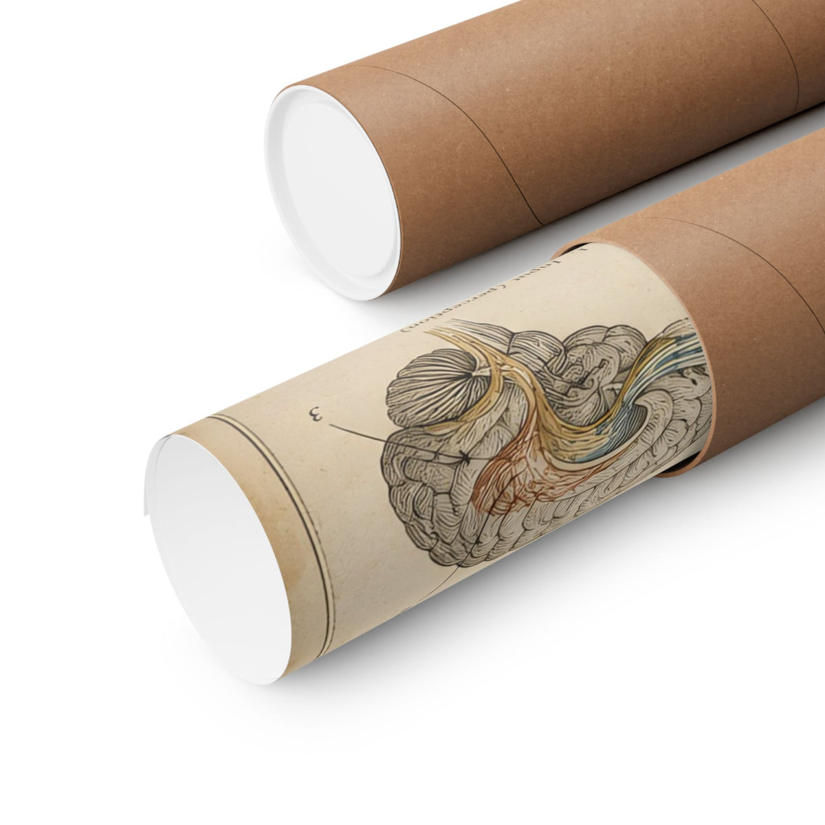 Anatomy of a Neural Network Poster | Vintage AI Science Art