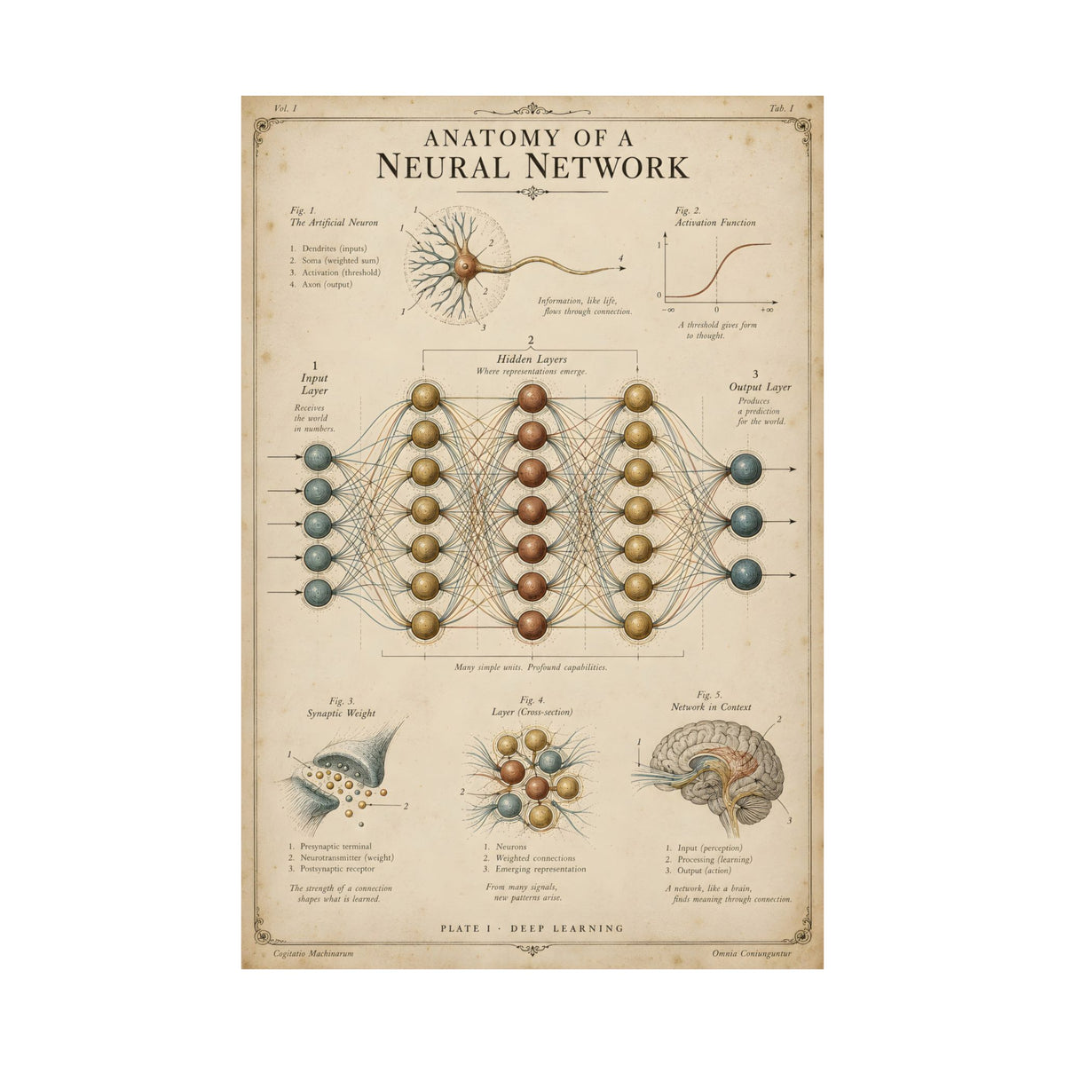 Anatomy of a Neural Network Poster | Vintage AI Science Art